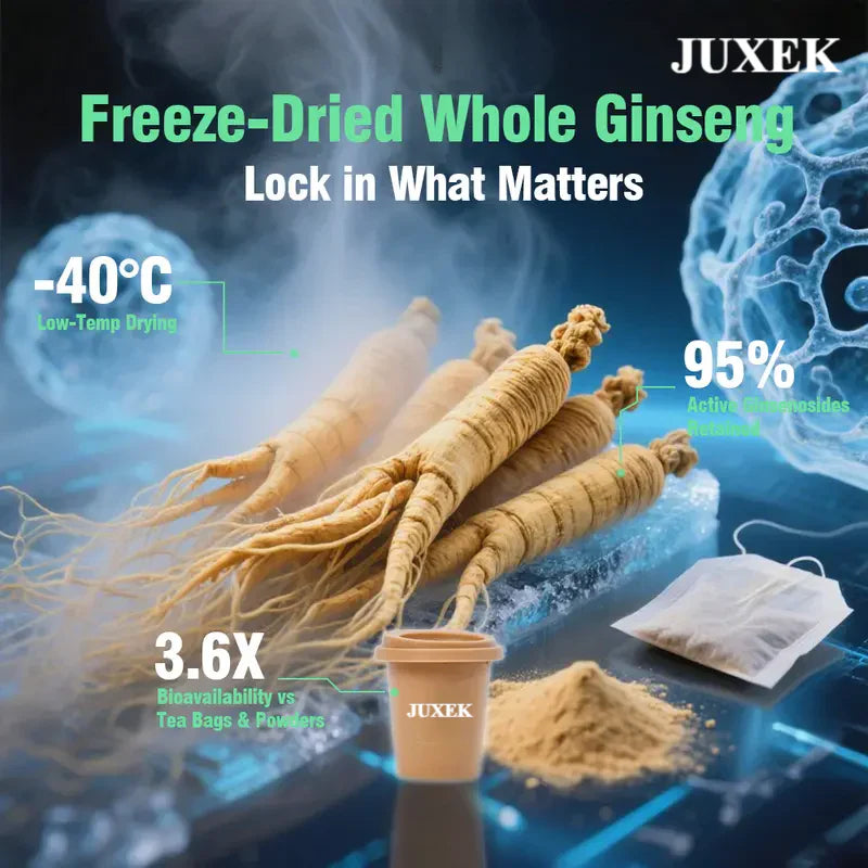 Juxek™ Men's Focus Energy Tea - Freeze-Dried Pure Ginseng Tea for Immune Support & Mental Stamina